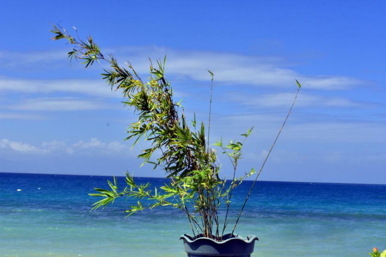 Mlk Bamboo Beachhouse Alegria  Exteriér fotografie